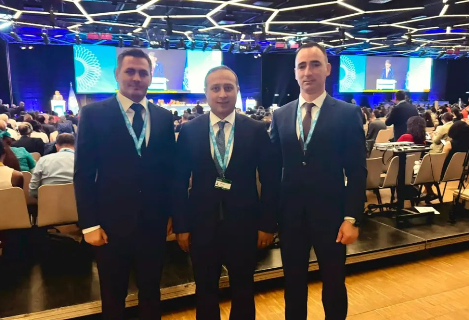 Azerbaiyán se sumó a la agenda de ciberseguridad en el primer Diálogo Global de las Naciones Unidas sobre la Gobernanza de la Inteligencia Artificial