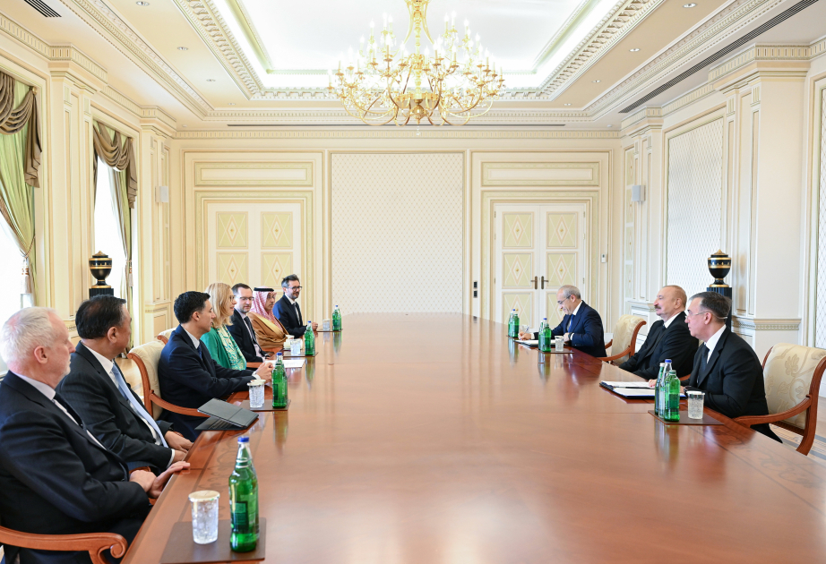 Präsident Ilham Aliyev empfängt hochrangige Vertreter internationaler Organisationen VIDEO