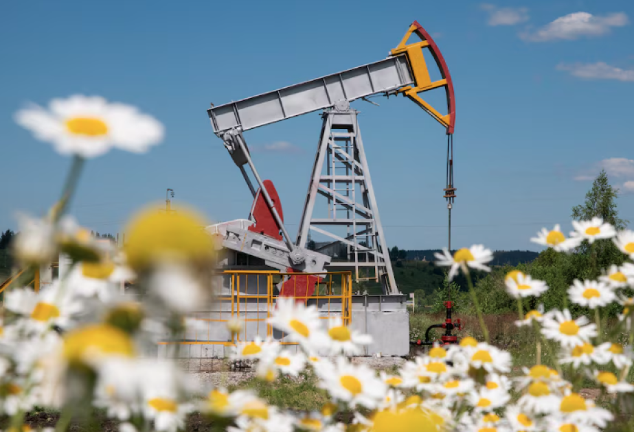 Цены на нефть повысились ВИДЕО