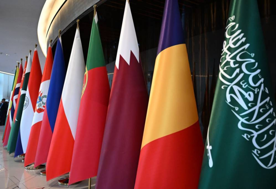 Uzbekistan progresses into a new phase of education and science development