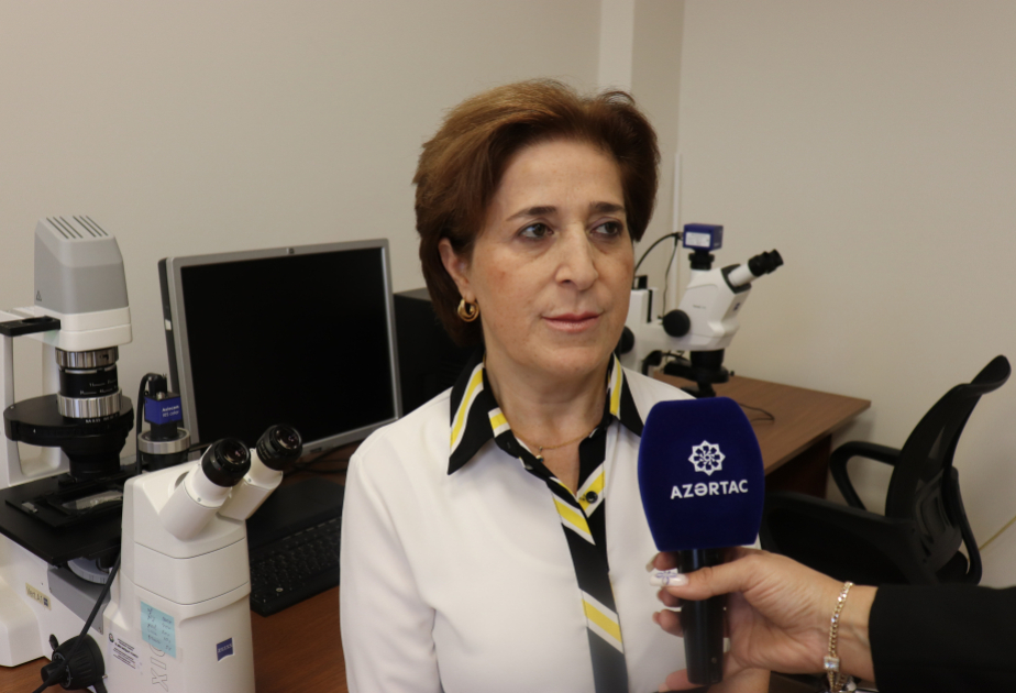 Professor: Son 20 ildə Azərbaycanda elm üçün 9 yeni göbələk növü təsvir olunub