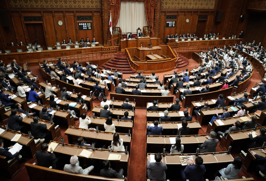 Japan OKs rules on social media in elections to maintain fairness