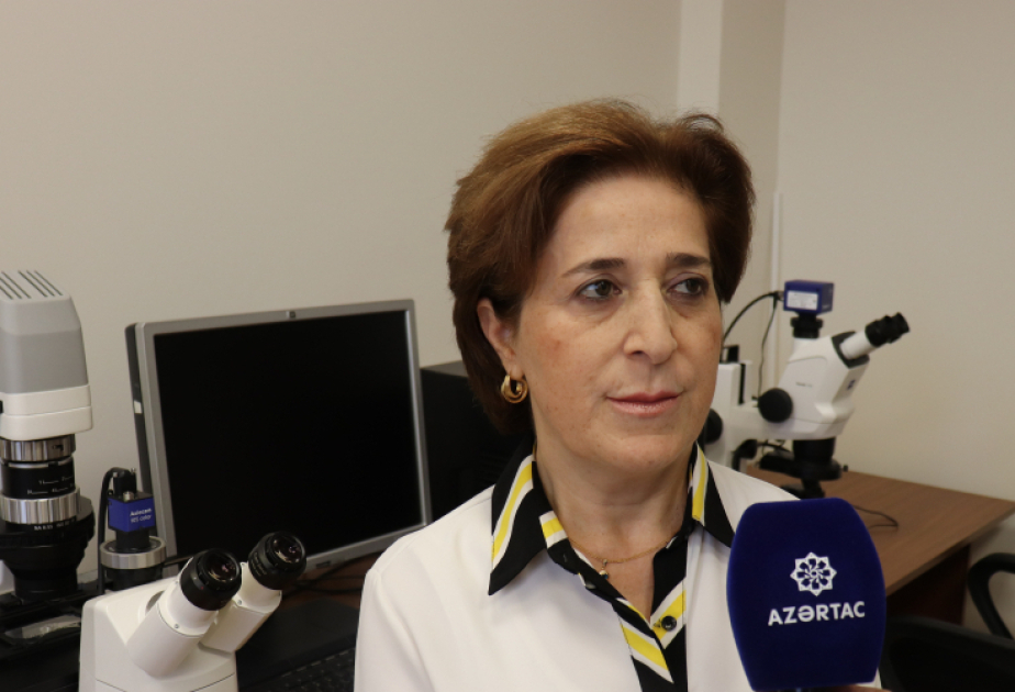 Azərbaycanda göbələklərin elmi tədqiqi: yeni növlər, biotexnoloji imkanlar MÜSAHİBƏ VİDEO