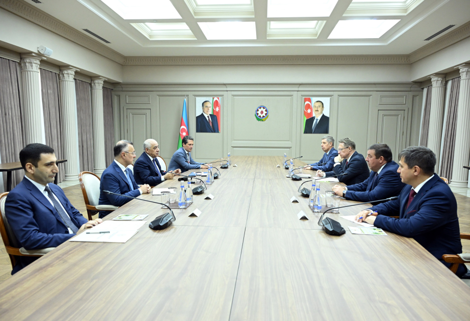 Azerbaijani PM meets with Russian Health Minister