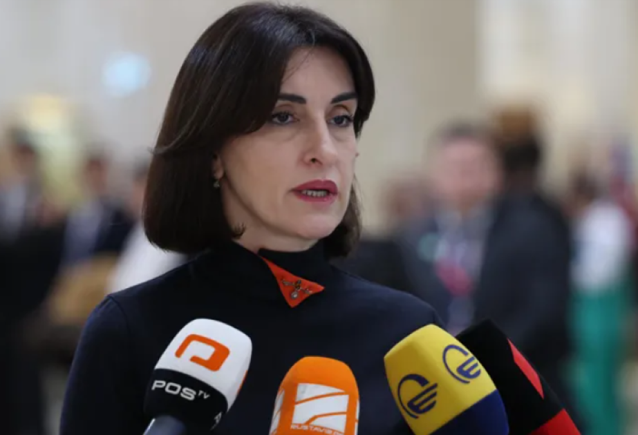 Maka Boçorişvili: Gürcüstan xalqının demokratik seçimi qulaqardına vurulur