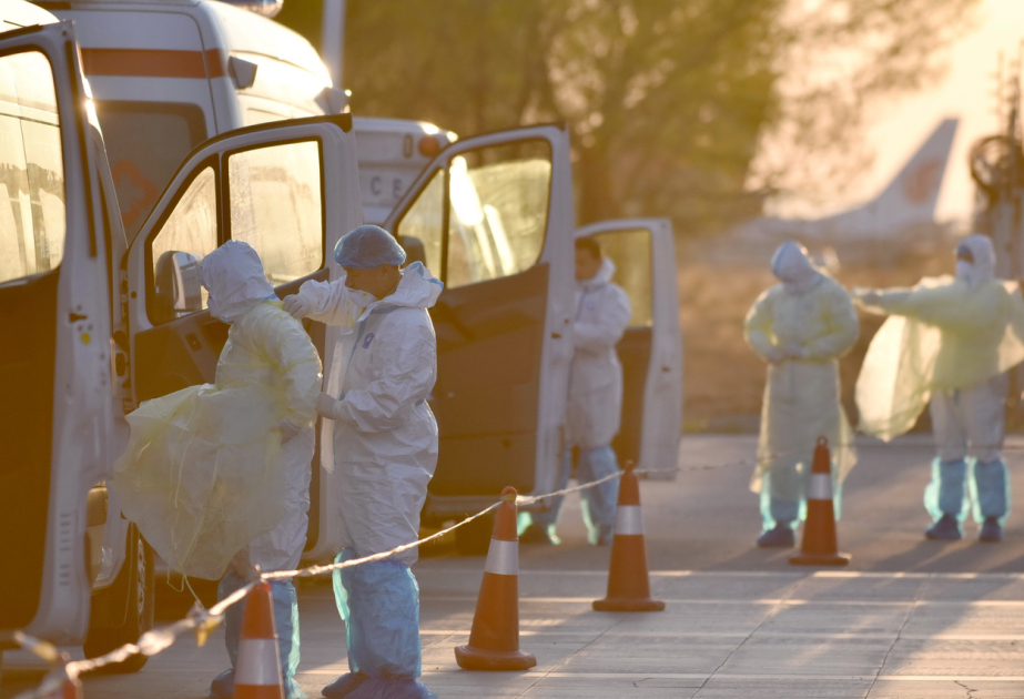 Mongolia issues bubonic plague warning