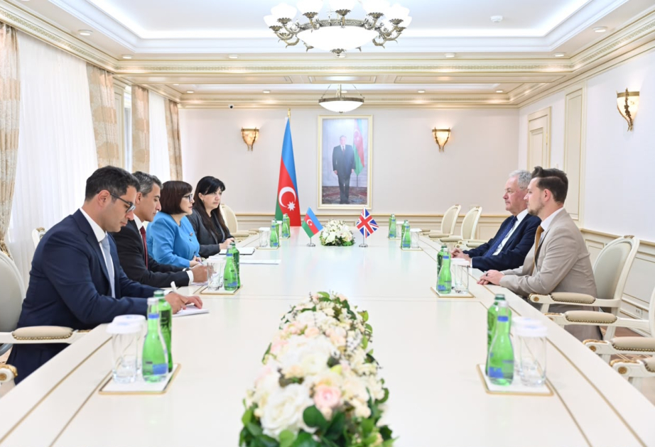 Speaker Gafarova meets with head of UK–Azerbaijan interparliamentary friendship group