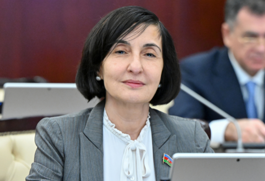 Rəqəmsal inkişaf, süni intellekt və uşaqların sosial şəbəkə platformalarında zərərli təsirlərdən qorunması