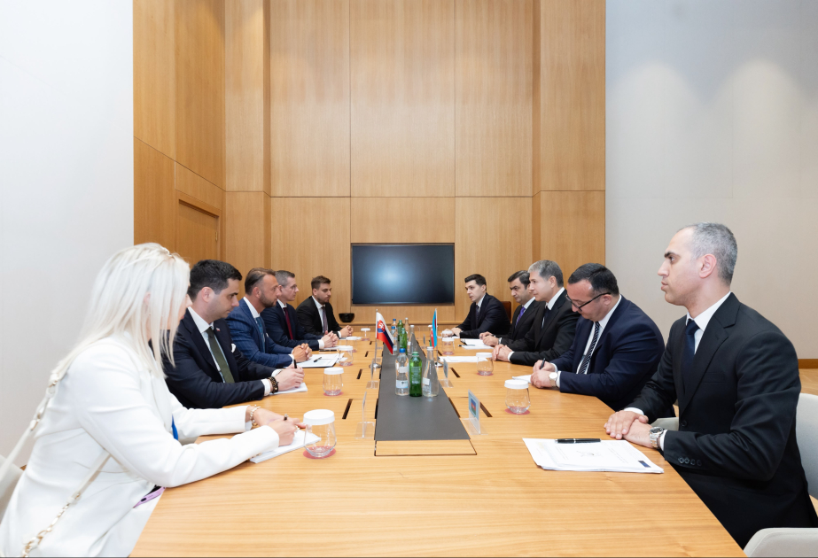 Azərbaycan və Slovakiyanın daxili işlər nazirləri əməkdaşlığa dair Anlaşma Memorandumu imzalayıblar