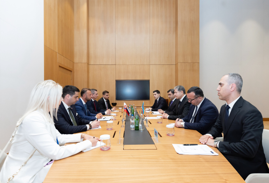 Les ministres azerbaïdjanais et slovaque de l'Intérieur signent un mémorandum d’accord sur la coopération