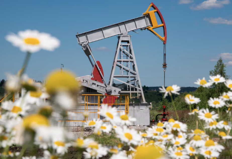 Oil prices rise on global markets VIDEO