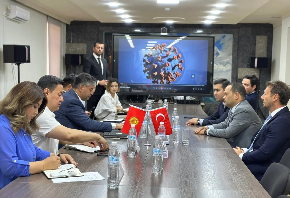 Kyrgyzstan, Turkiye strengthen investment partnership
