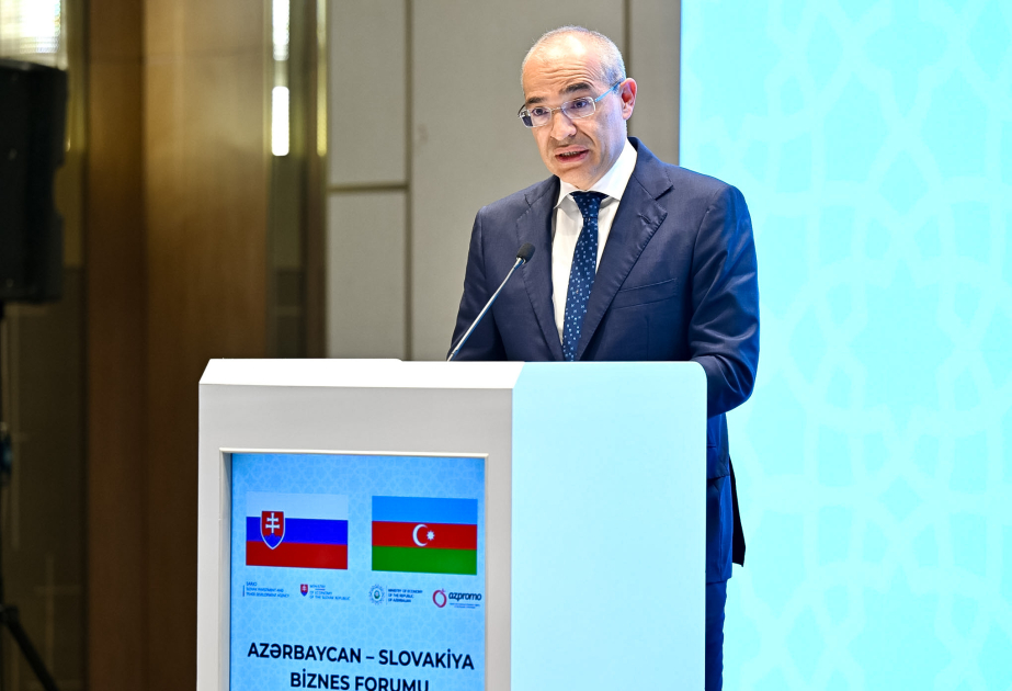 Nazir: Azərbaycanda fəaliyyət göstərmək şirkətlərə daha geniş regional bazara çıxış imkanı yaradır