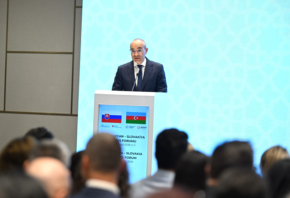 İqtisadiyyat naziri: Slovakiya şirkətlərinin azad edilmiş ərazilərimizin bərpasına töhfə verməkdə güclü maraq göstərməsi sevindiricidir VİDEO