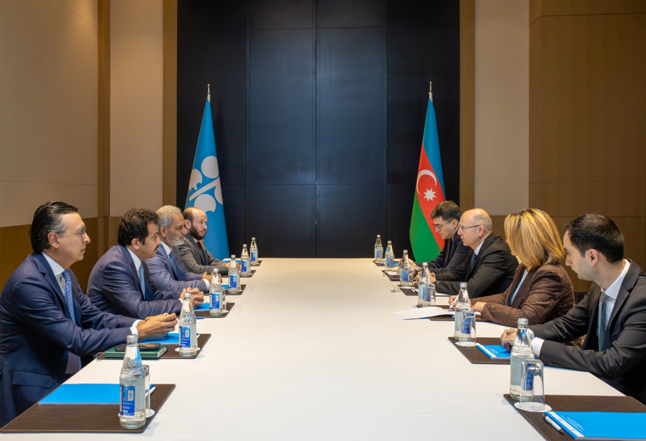 OPEC+ əməkdaşlığının gələcək inkişaf perspektivləri dəyərləndirilib