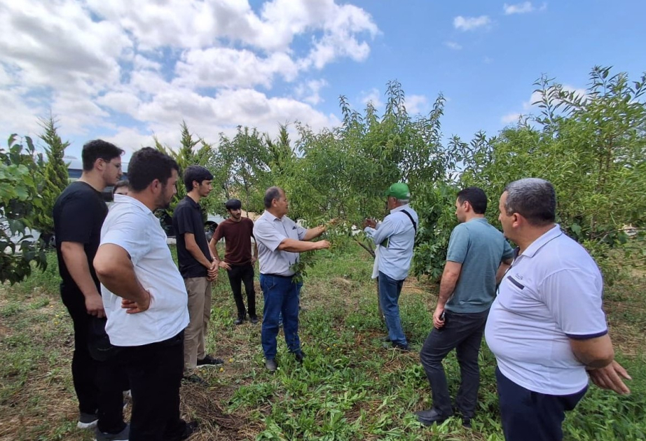 Aqrar sığorta eksperti olmaq istəyənlər üçün növbəti təlimlər keçirilib