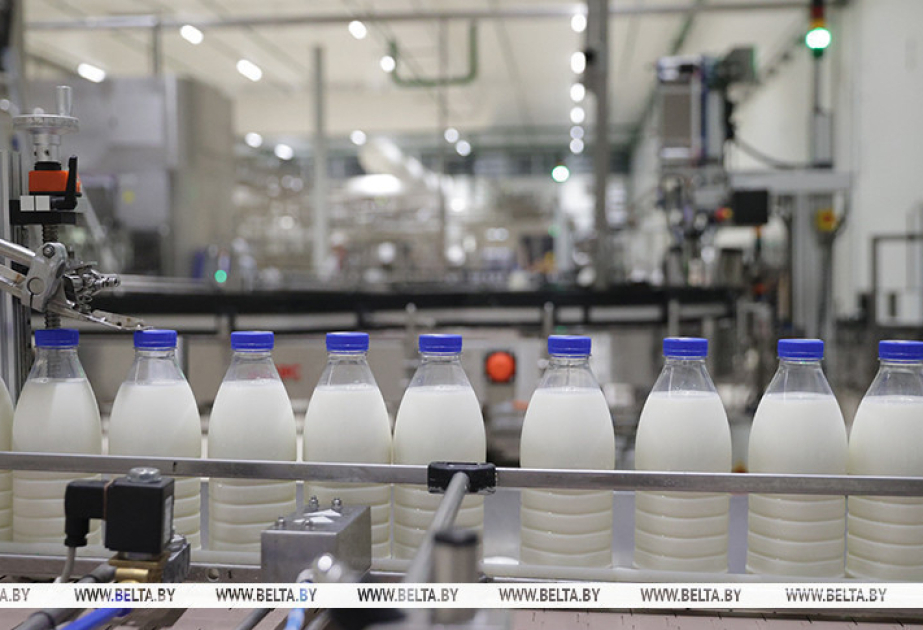 Belarus’ agricultural output up by 4.7% in January-June 2026