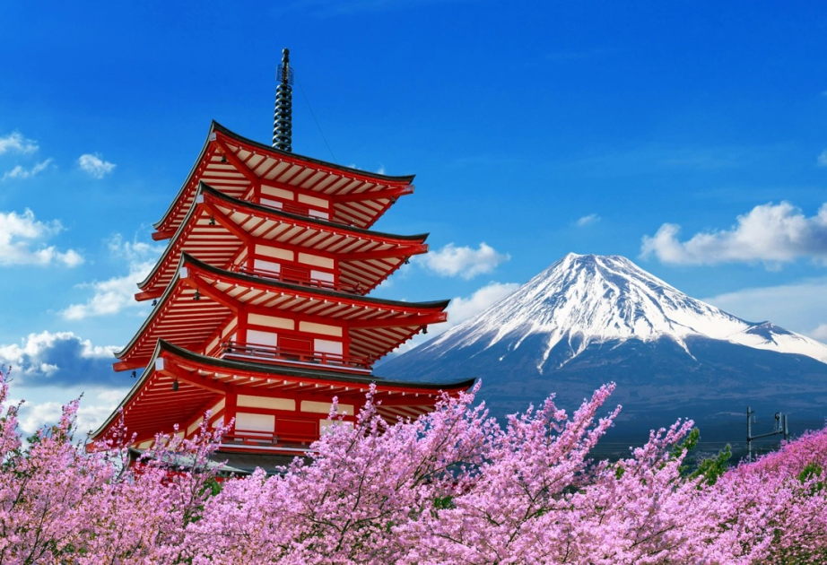 Japan sees first decline in visitors in 5 years