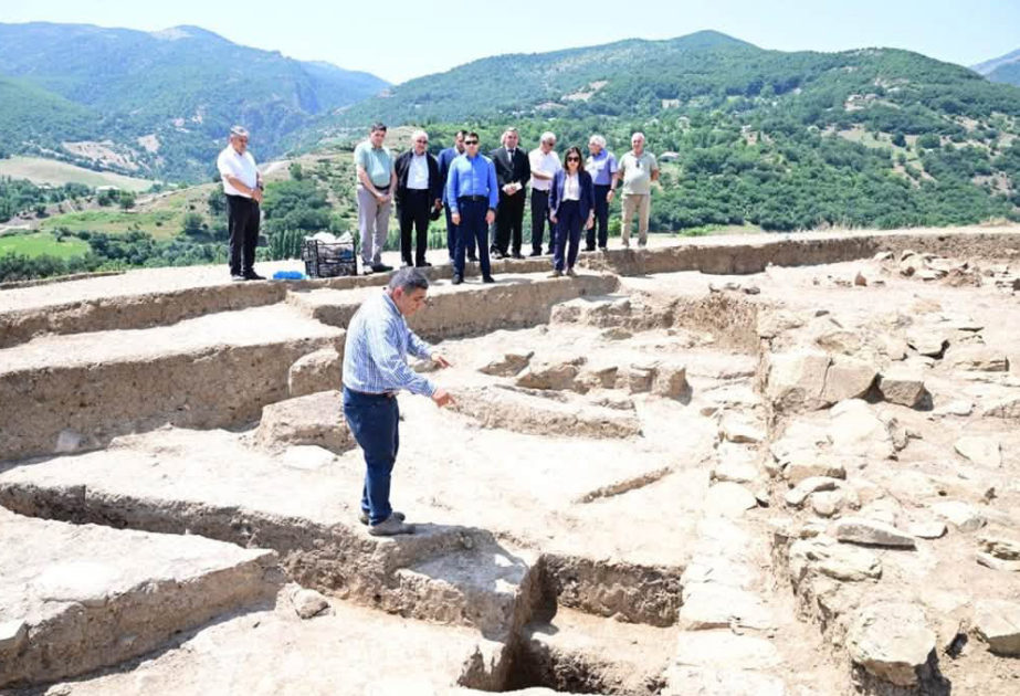 Mədəniyyət naziri Yardımlıda aparılan arxeoloji tədqiqat işləri ilə tanış olub