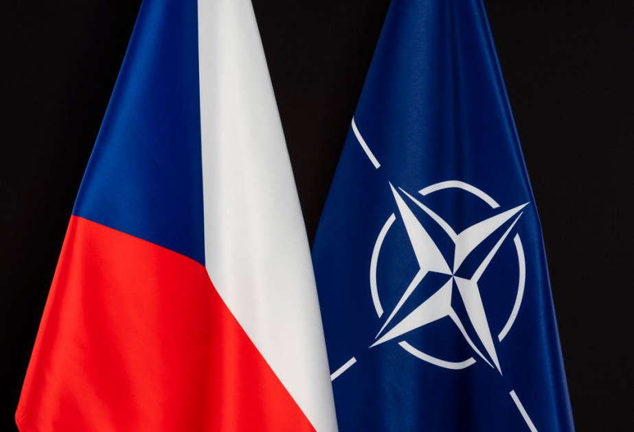 Çexlərin əksəriyyəti NATO sammitindəki təfriqədən narazıdır