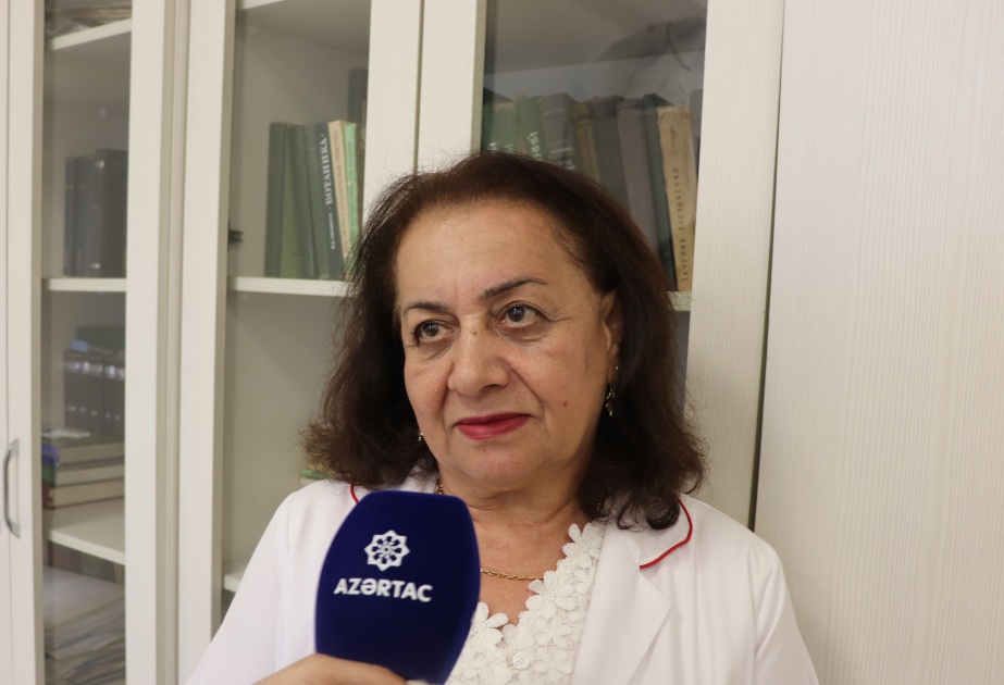 Herbari fondu Azərbaycanın flora yaddaşını qoruyur: 600 minədək nümunə gələcək tədqiqatlar üçün saxlanılır - MÜSAHİBƏ VİDEO