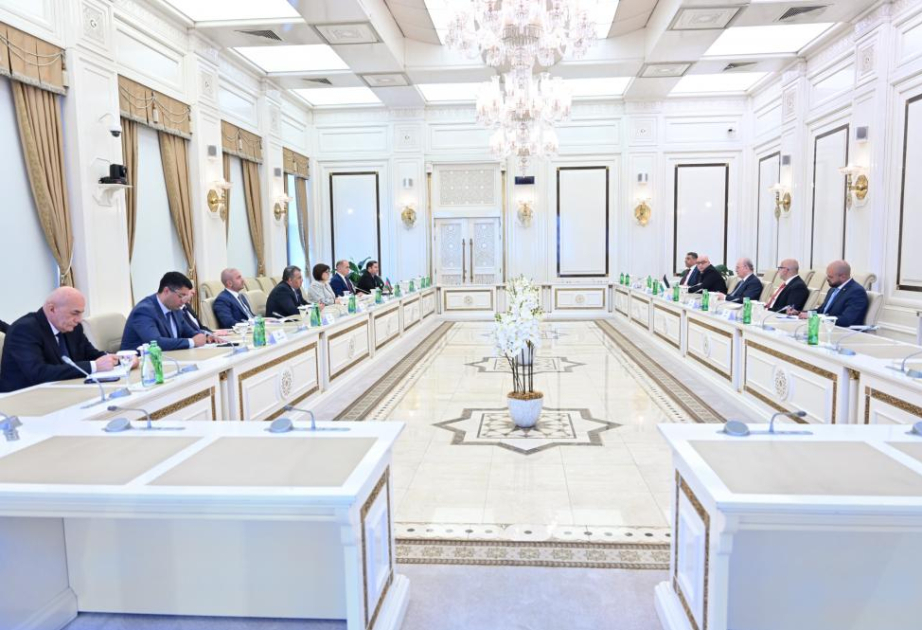 Azerbaijani Speaker meets with Palestinian PM