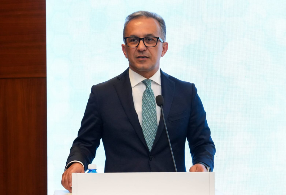 Komitə sədri: Dezinformasiya şəraitində cəmiyyətin dəqiq və obyektiv məlumatla təminatı xüsusi əhəmiyyət daşıyır