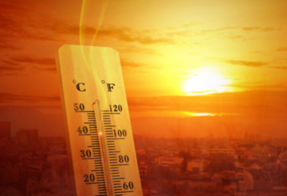 Canicule : près de 10 000 morts cet été, l’OMS appelle l’Europe à mieux se préparer