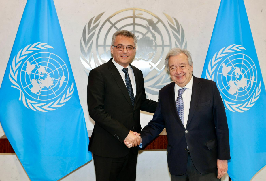 UN chief to visit Cyprus for talks with Turkish, Greek Cypriot leaders