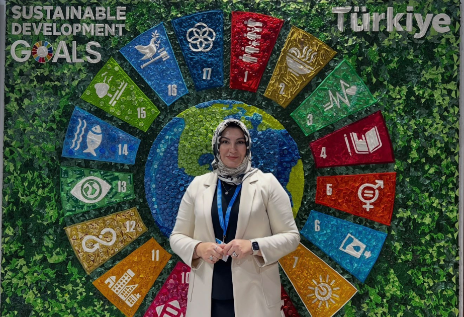 Ekspert: İndi əsas məsələ enerjini daha çox istehsal etmək deyil, daha ağıllı idarə etməkdir
