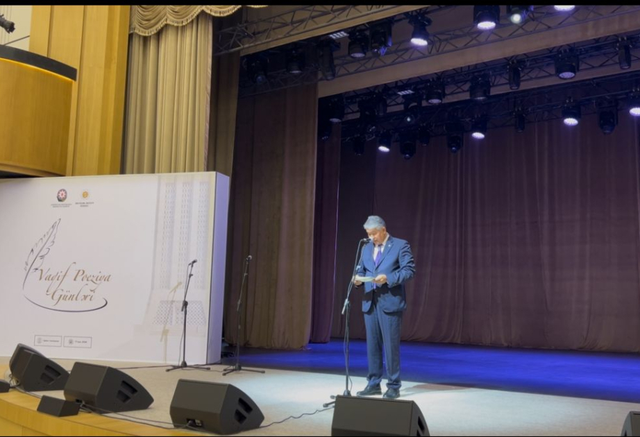 Султан Раев: Желаем, чтобы этот фестиваль проводился в разных городах тюркского мира, став прекрасной традицией