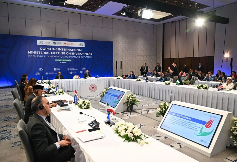 D-8 can play transformative role in global climate agenda: COP31 president