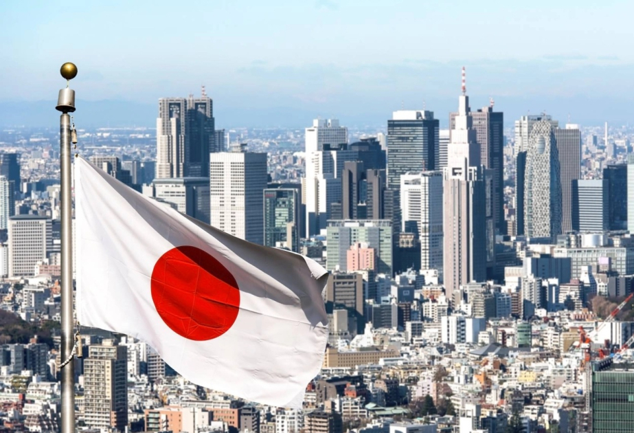 Japón penalizará el ultraje a la bandera nacional