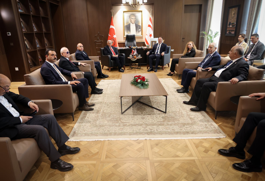 Şimali Kipr parlamentinin sədri: Türkiyə və Azərbaycan liderlərinin baxışı öz bəhrəsini verir