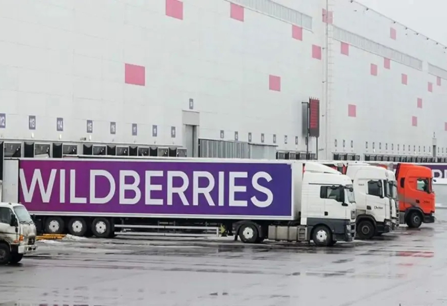 В России возбуждены дела о теракте после атак на логистические центры Wildberries