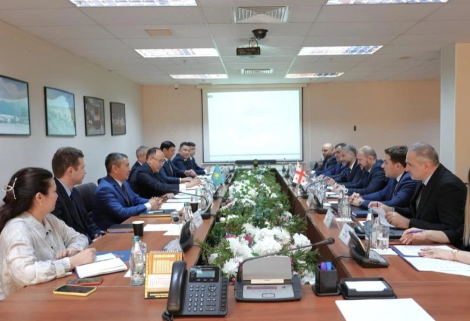 Kazakhstan, Georgia move to electronic freight transport permits