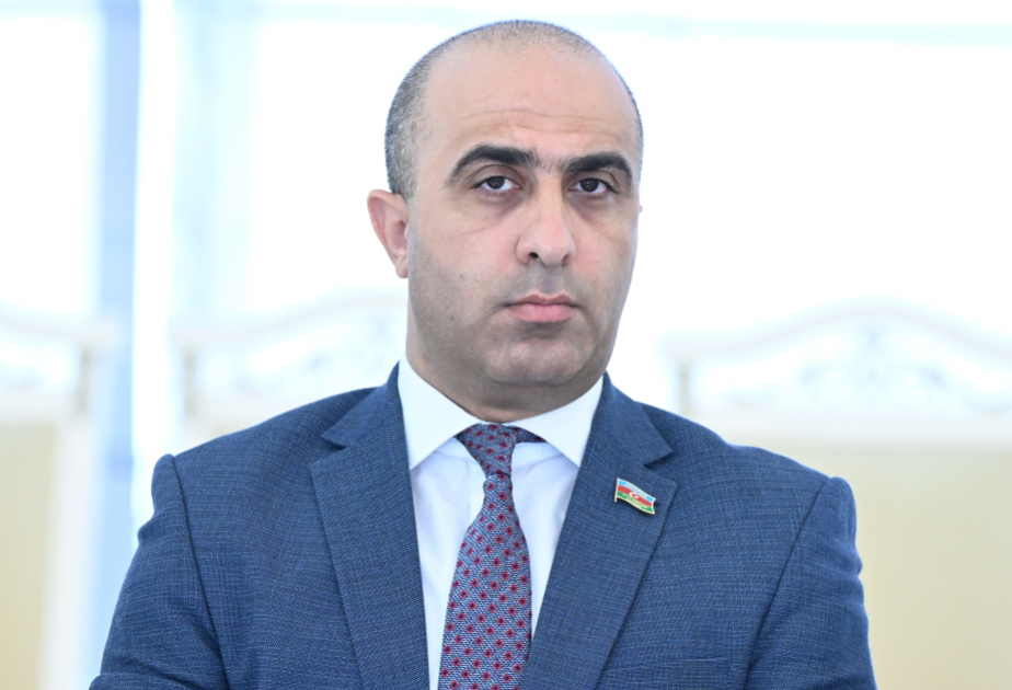 Almaniya ilə ali səviyyəli təmaslar Azərbaycanın Avropadakı nüfuzunu daha da artırır  ŞƏRH