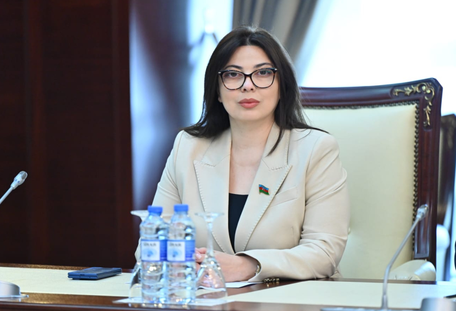 Peşəkar jurnalistikanın inkişafı dövlət-media əməkdaşlığının əsas prioritetləri sırasındadır RƏY