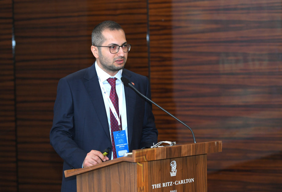 Türk ekspert: Gəmi kapitanı öz qərarlarının kommersiya tərəfini də bilməlidir