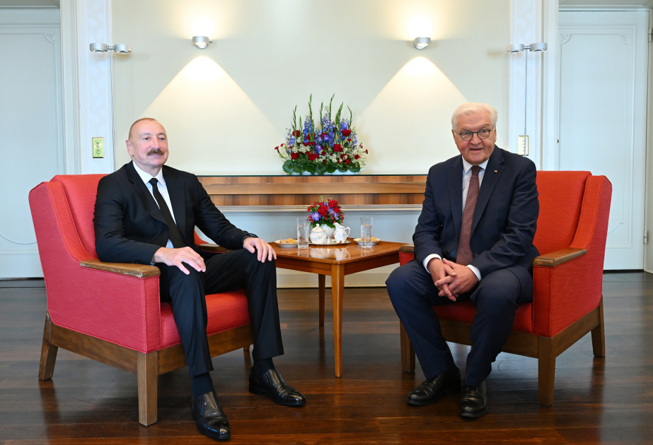 Presidents of Azerbaijan and Germany held one-on-one meeting VIDEO
