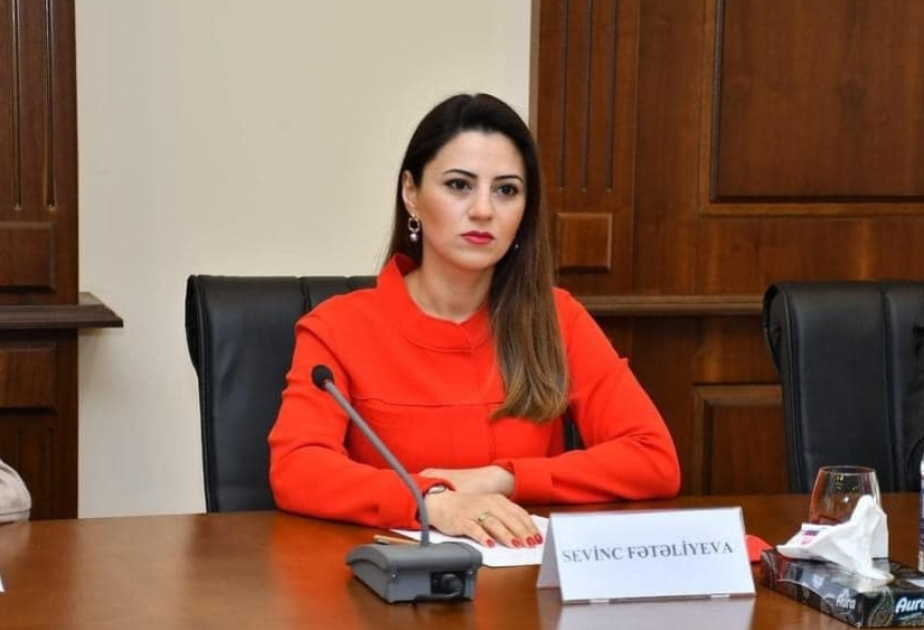 Azərbaycanın media siyasəti söz azadlığı ilə məsuliyyət arasında tarazlığın qorunmasına əsaslanır Şərh