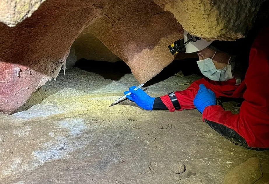 In painted caves, ancient human DNA clings to the walls