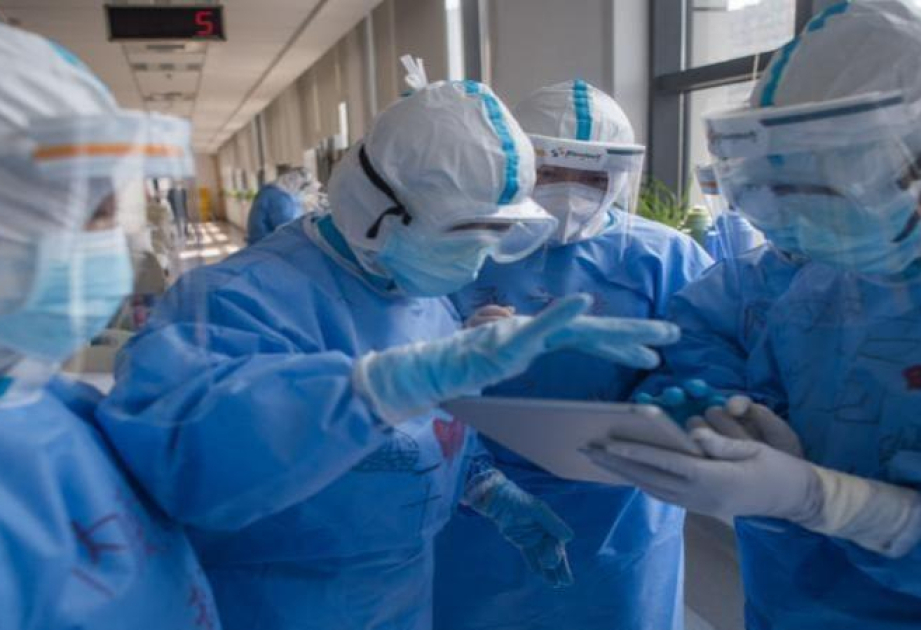 Suspected case of bubonic plague reported in western Mongolia