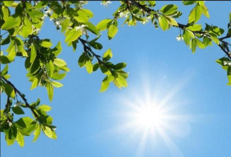Sabahın hava proqnozu açıqlanıb
