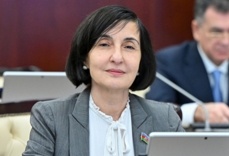 Azərbaycanın sülhməramlı missiyalarda iştirakı beynəlxalq təhlükəsizliyə töhfədir