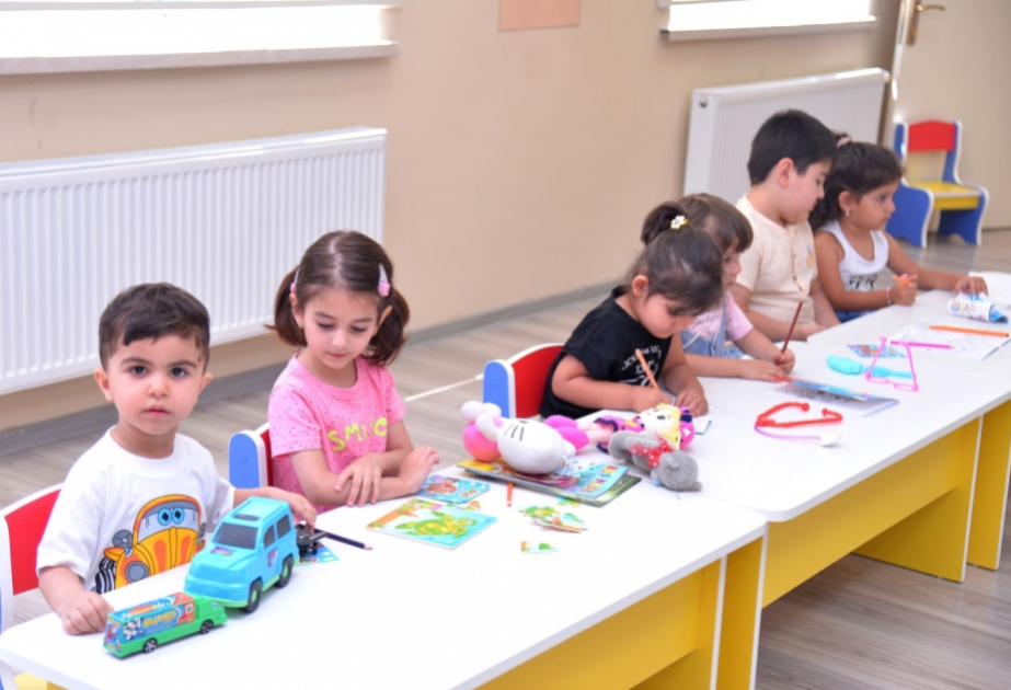 Məktəbəhazırlıq qruplarına qəbul zamanı valideynlər sistemdə yalnız bir məktəb seçərək sorğu yerləşdirə bilərlər