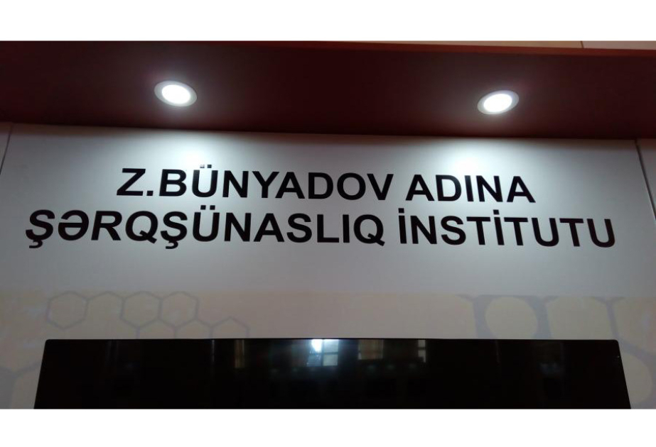 Şərq ölkələrinin kitabxana və arxivlərində Azərbaycana dair nadir əlyazmalar aşkar edilərək tədqiqata cəlb olunur