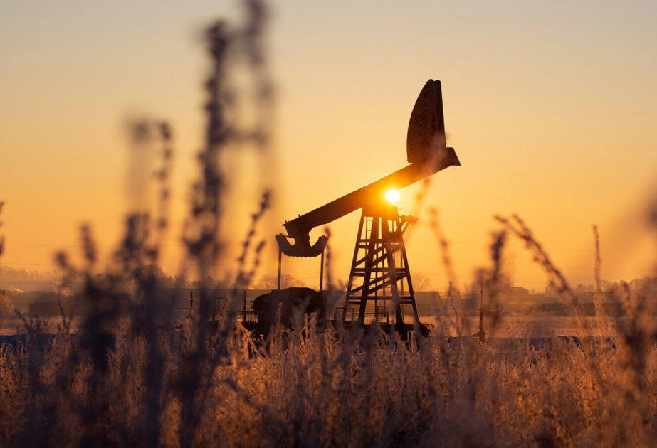 Les cours du pétrole diminuent sur les bourses mondiales VIDEO