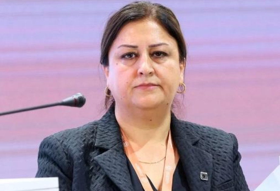 Beynəlxalq təşkilatlara çağırış: Mina məsələsində daha prinsipial münasibət nümayiş etdirilməlidir