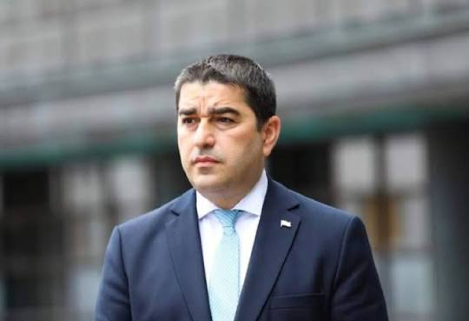 Şalva Papuaşvili: Ölkədə enerji sisteminin ardıcıl şəkildə sıradan çıxması qeyri-adi hadisədir